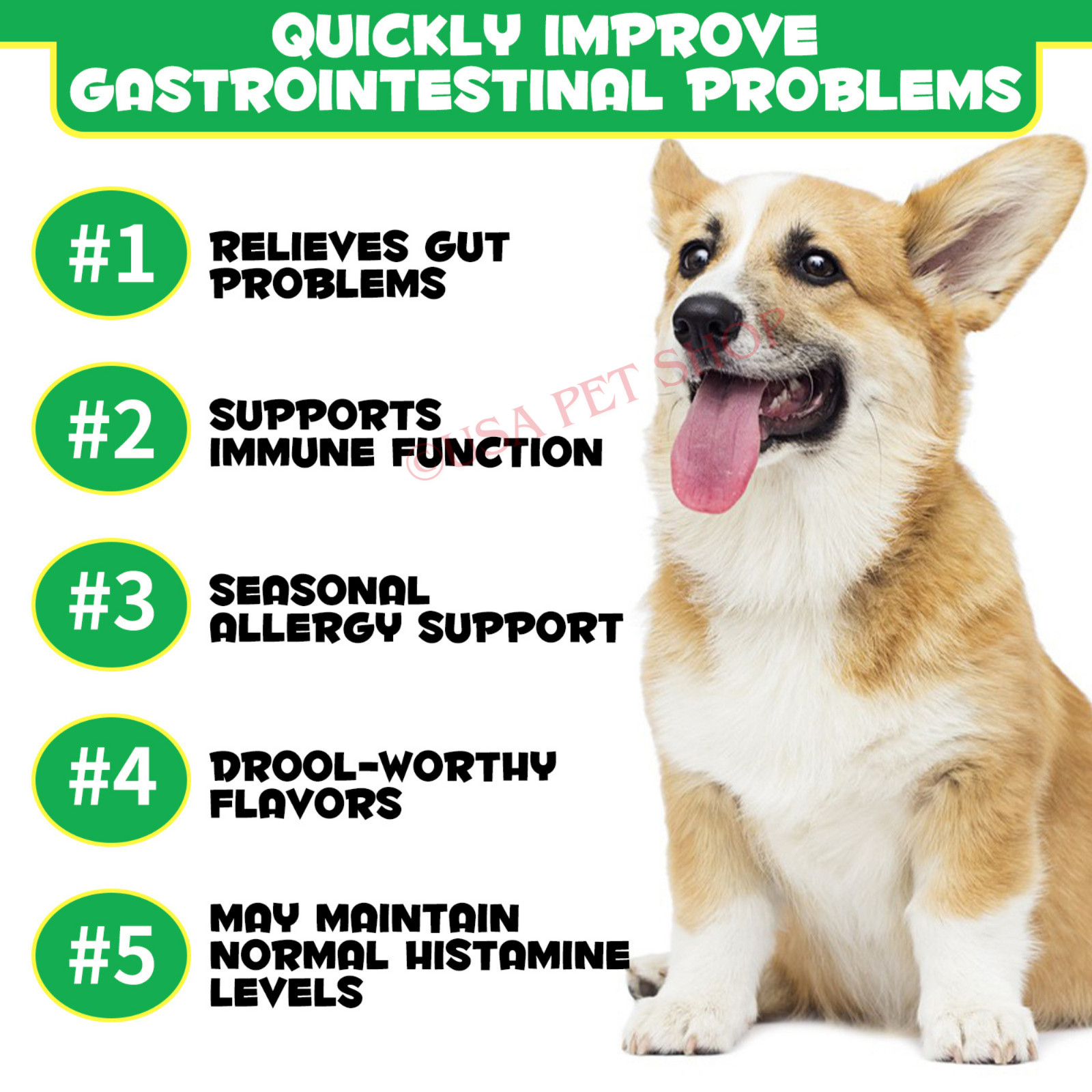 Prebiotic & Probiotic AND Natural Digestive Treats For Dogs 120 Soft Chews