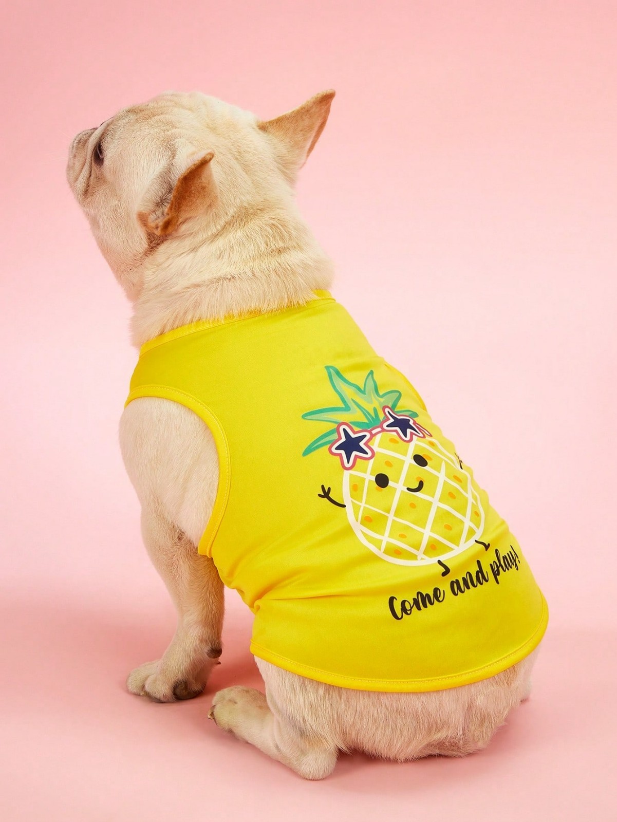 2PCS Small Pet Dog Cat Summer Shirts Vest Clothes Cute Puppy TShirt Coat Apparel
