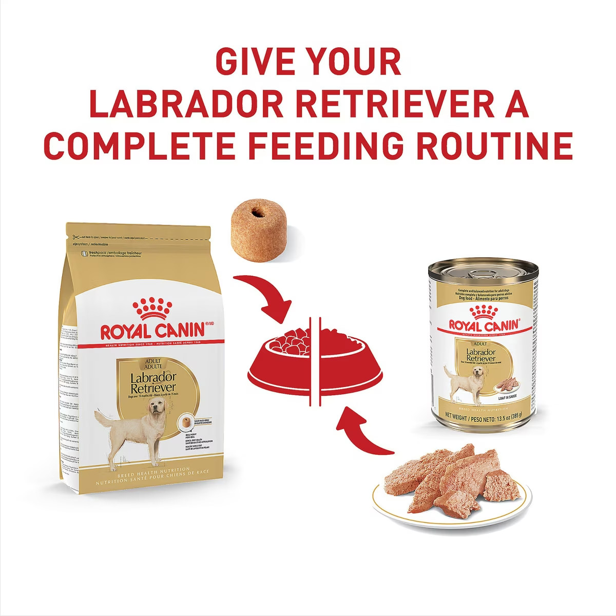 Royal Canin Breed Health Nutrition Labrador Retriever Adult Dry Dog Food 30 Lb