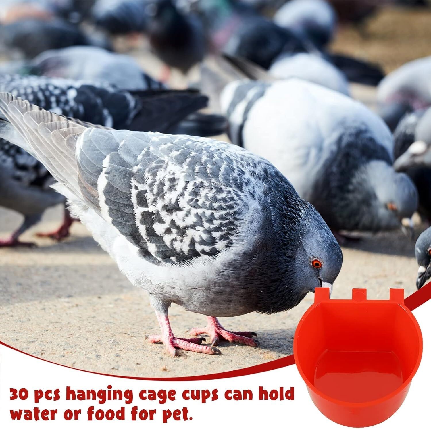20/40/60× Chicken Poultry Hanging Water Feed Cage Cups Rabbit Bird Feeder Bowls
