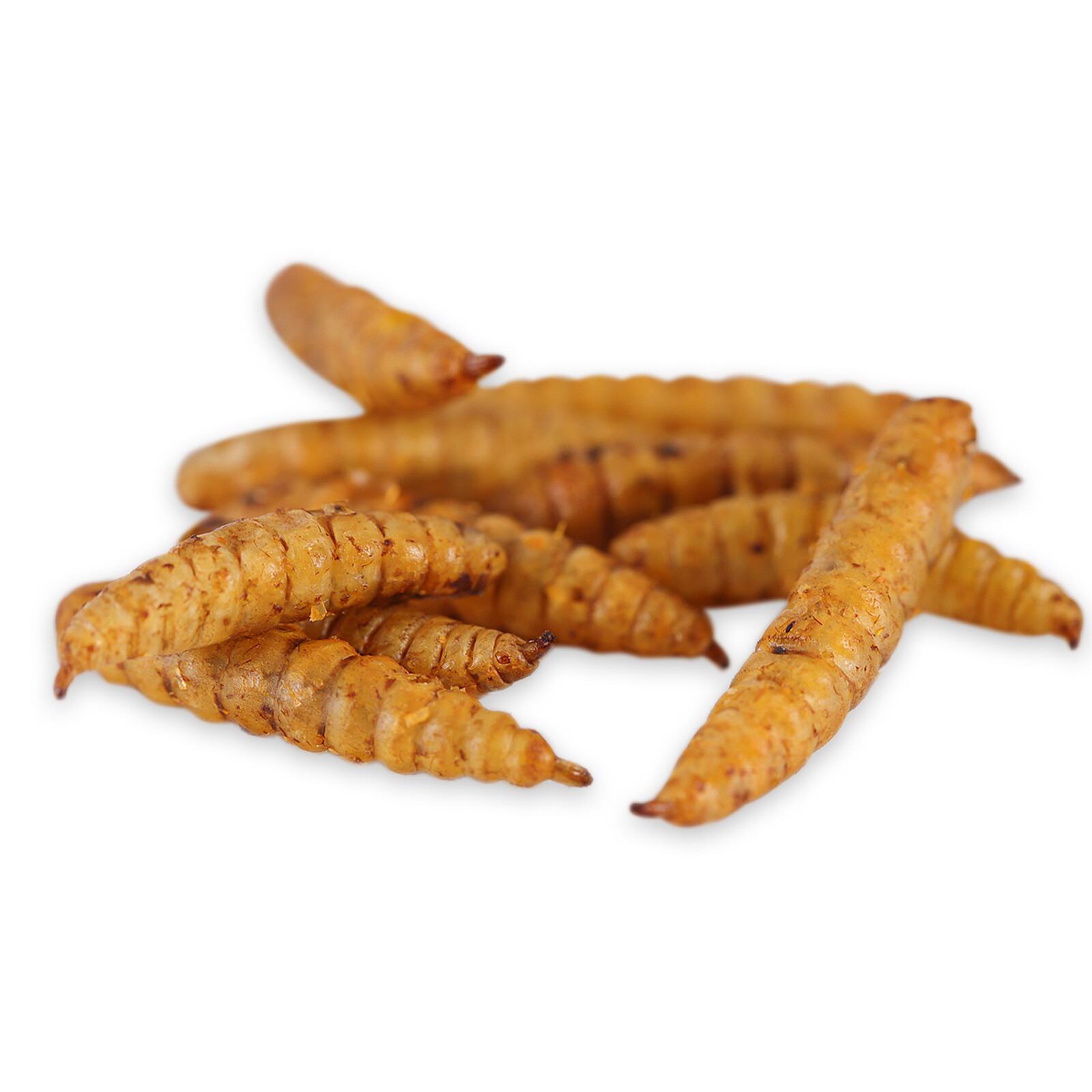 Bulk Dried BSF Mealworms for Wild Birds Food Chickens Hen Fish Treats Food Lot