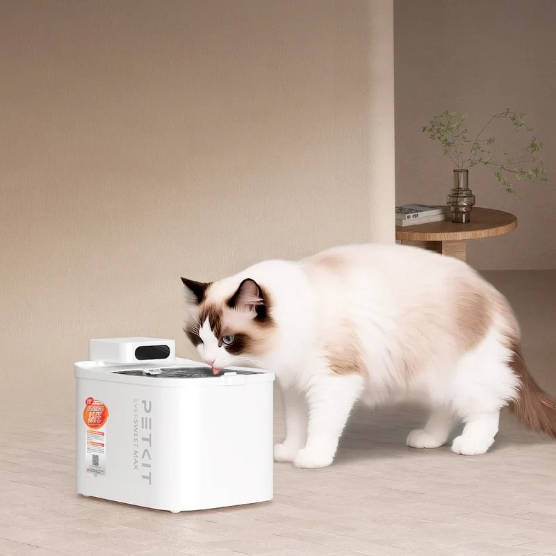 EVERSWEET MAX 2 Cordless Pet Fountain – UVC Pump, Stainless Steel Tray, Long Bat