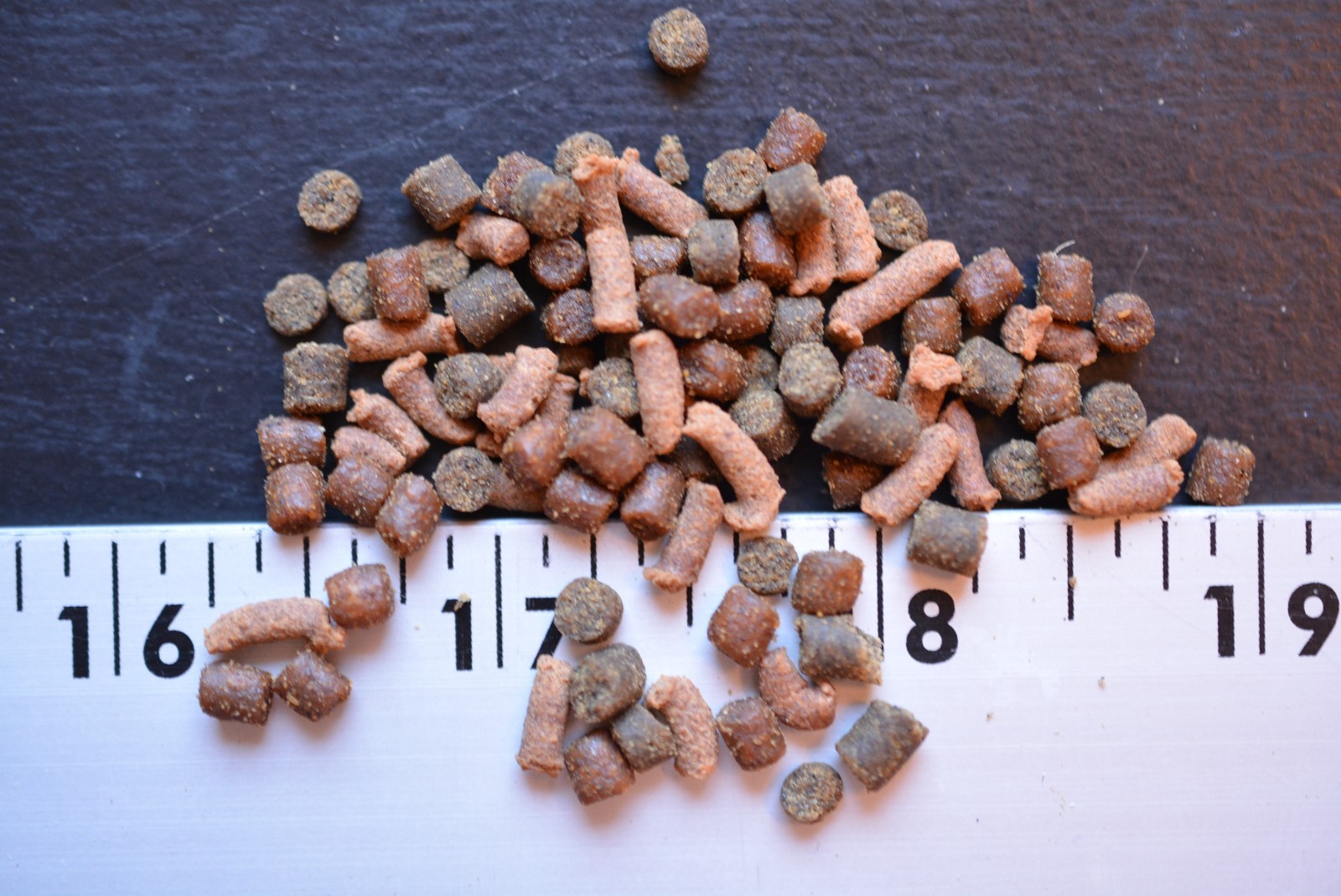 CORY CATFISH FOOD MIX Bottom Feeders,Snail,Crayfish,Catfish,Loach,ABF205