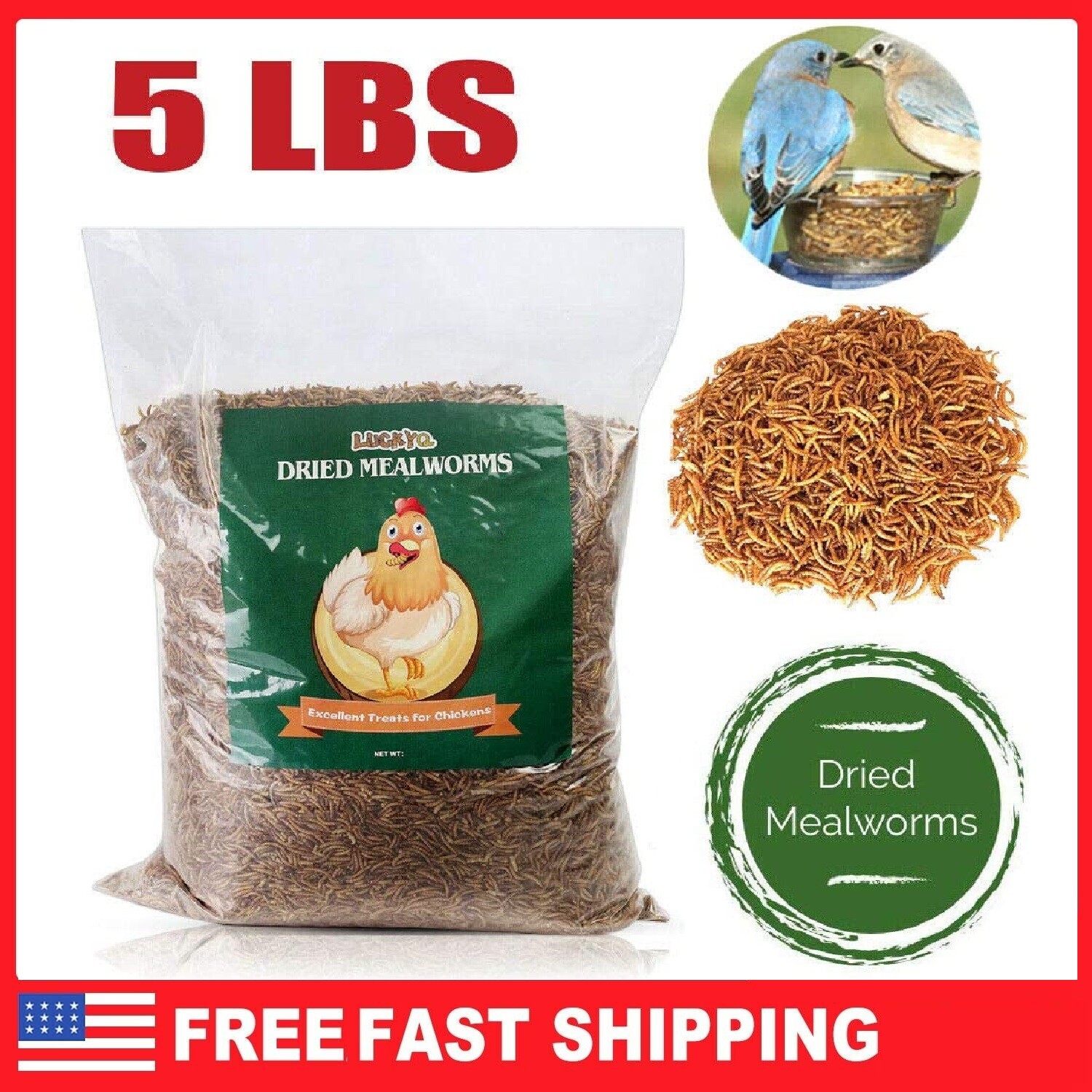 Dried Mealworms for chickens 5 lbs Chicken Treats Duck Feed Organic Meal Worms