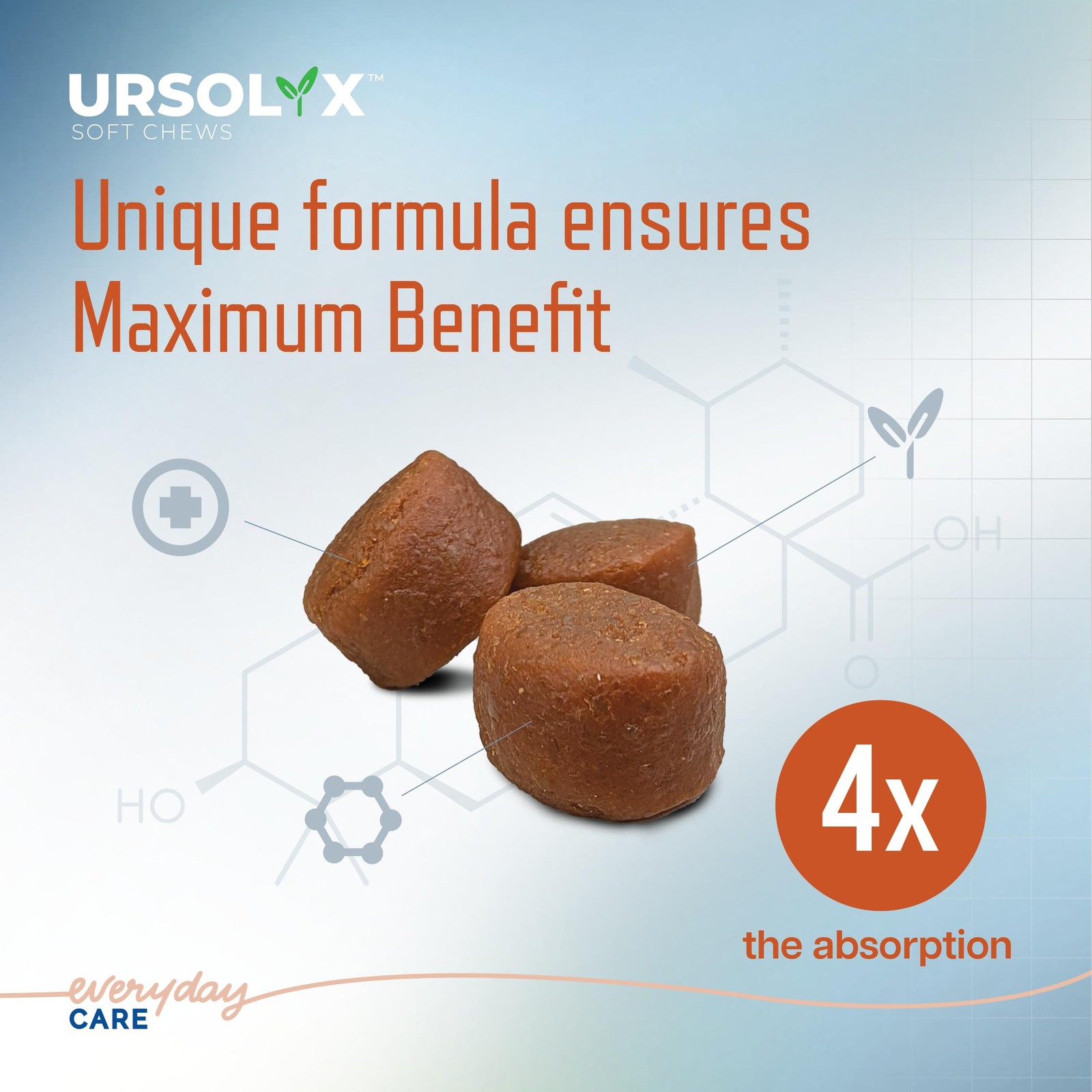 URSOLYX Soft Chews for Dogs | Muscle Health Support for Senior, Active or Recove
