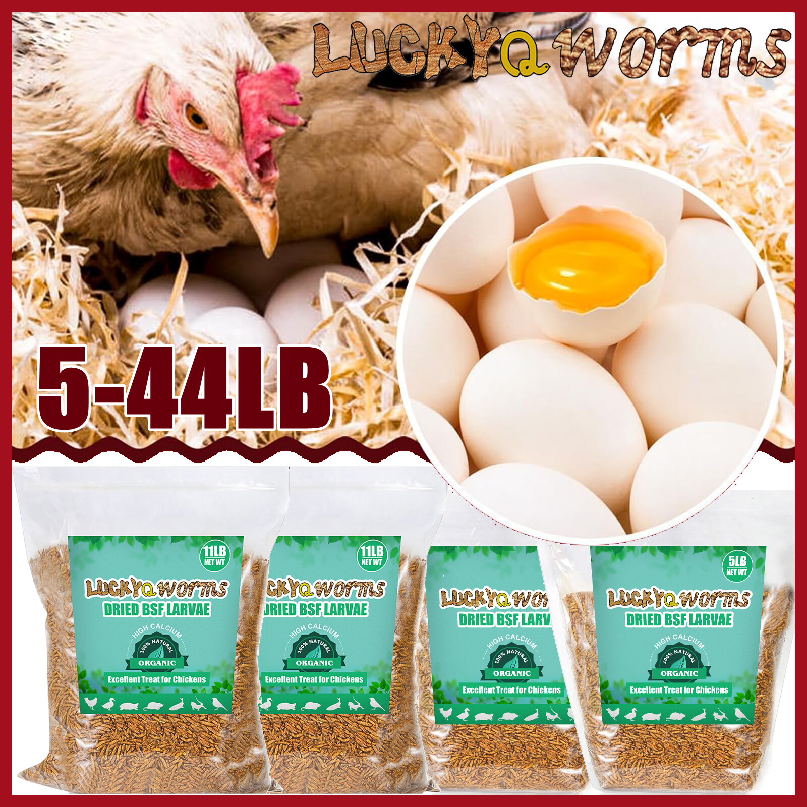 Dried Black Soldier Fly Larvae BSF Mealworm for Chicken 100% Natural Premium LOT