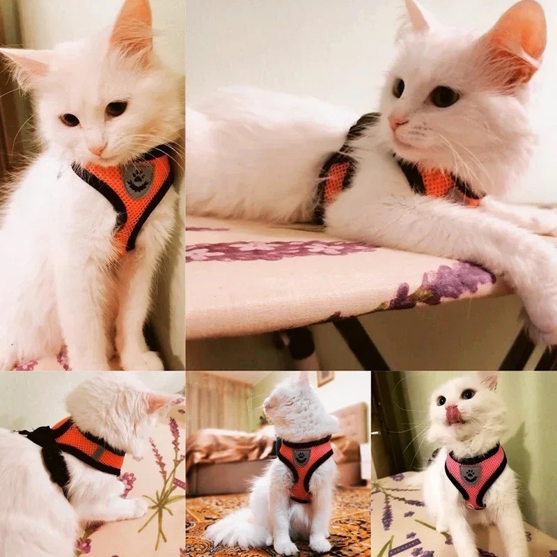 Cat Dog Pet Harness Adjustable Control Vest Dogs Reflective S M L XL Leash