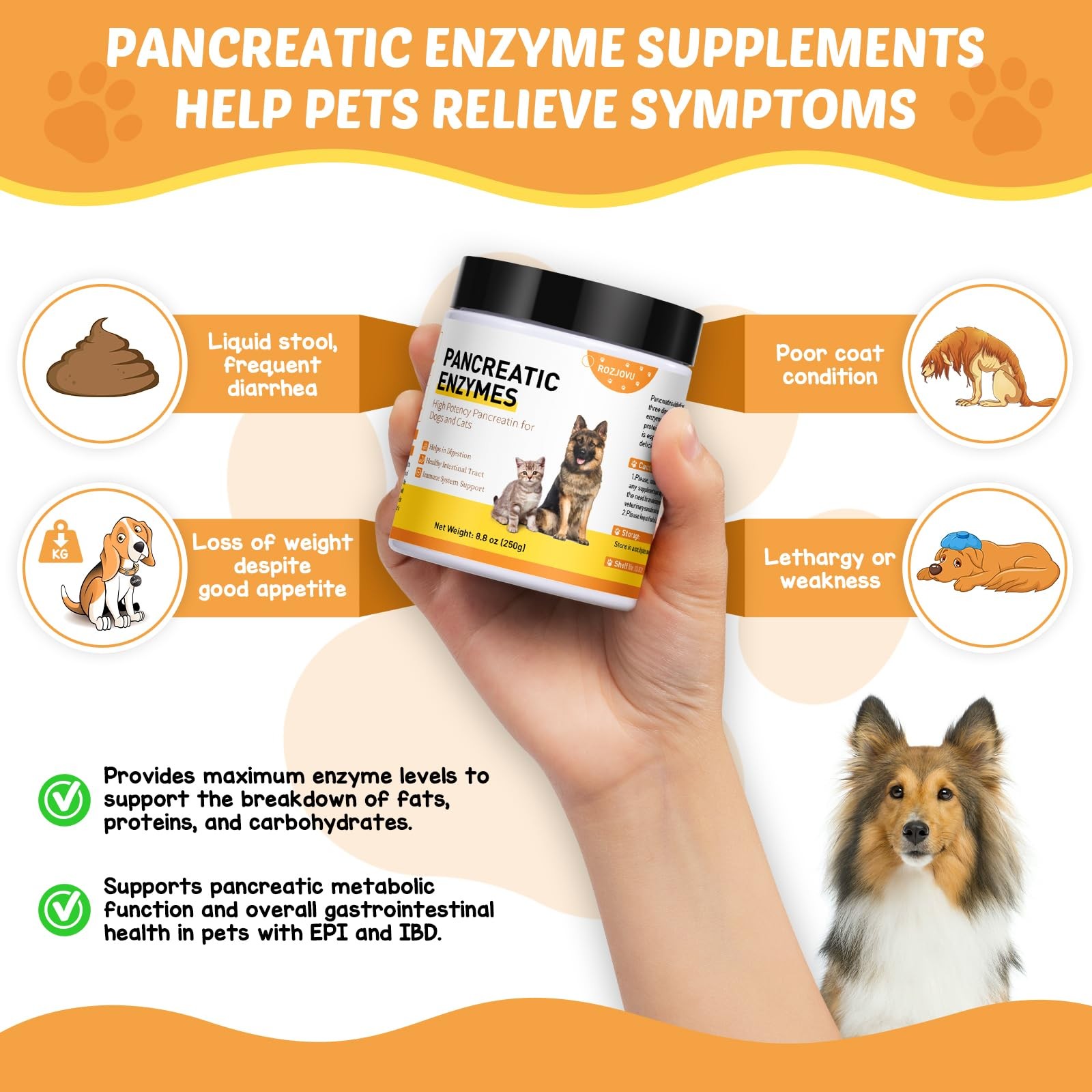 8.8 Ounces Pancreatic Enzymes for Dogs – 10x Pancreatin – Dog Digestive Enzym…