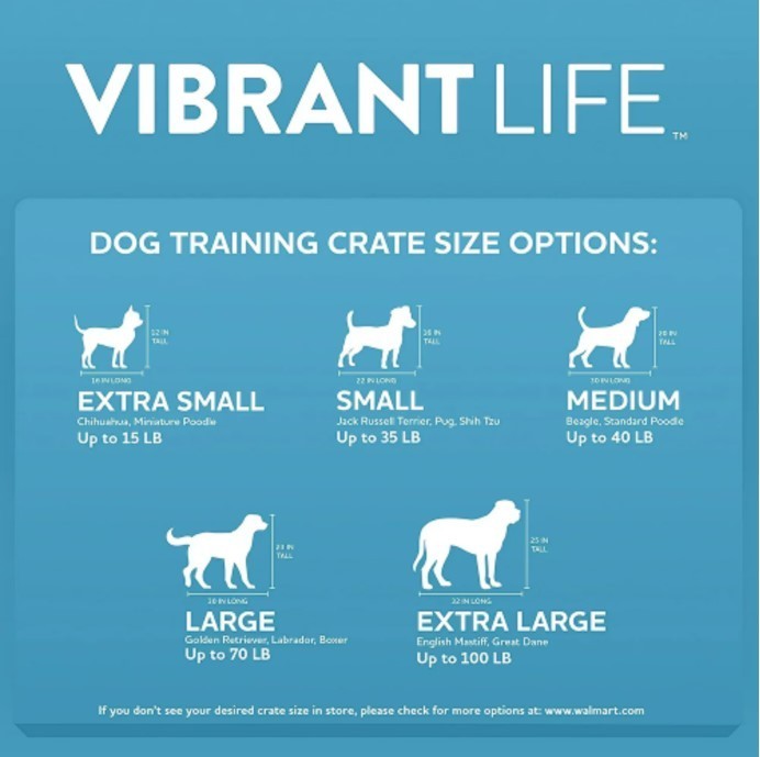 Vibrant Life Portable Plastic Dog Kennel 26″ Pink Pet Crate, New, Sale