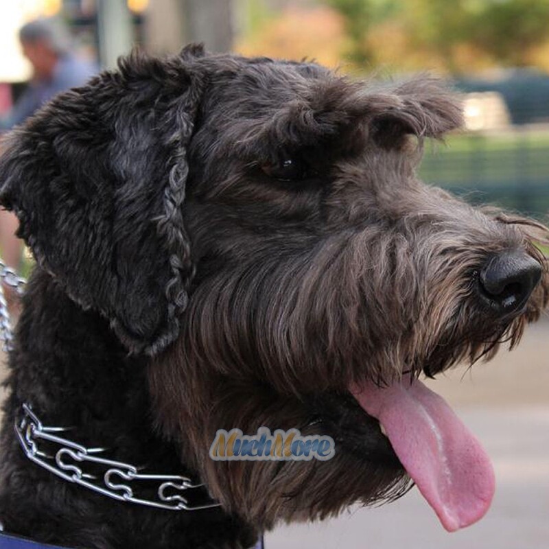 Adjustable Metal Steel Dog Pinch Prong Choke Chain Collar Training Guardian Gear