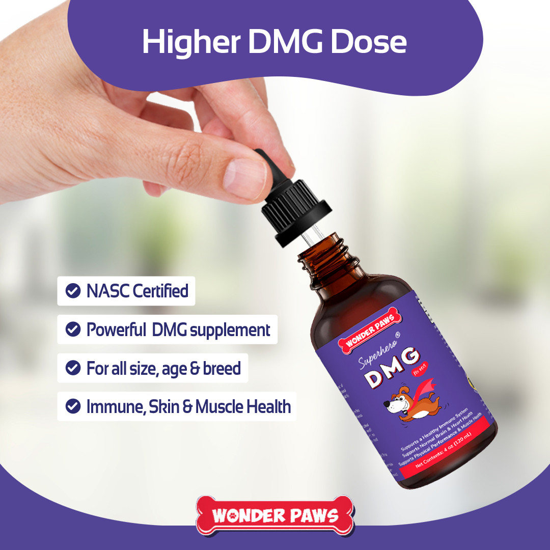 Premium DMG for Dogs – Dimethylglycine (DMG) for All Ages, Sizes & Breeds – 4oz