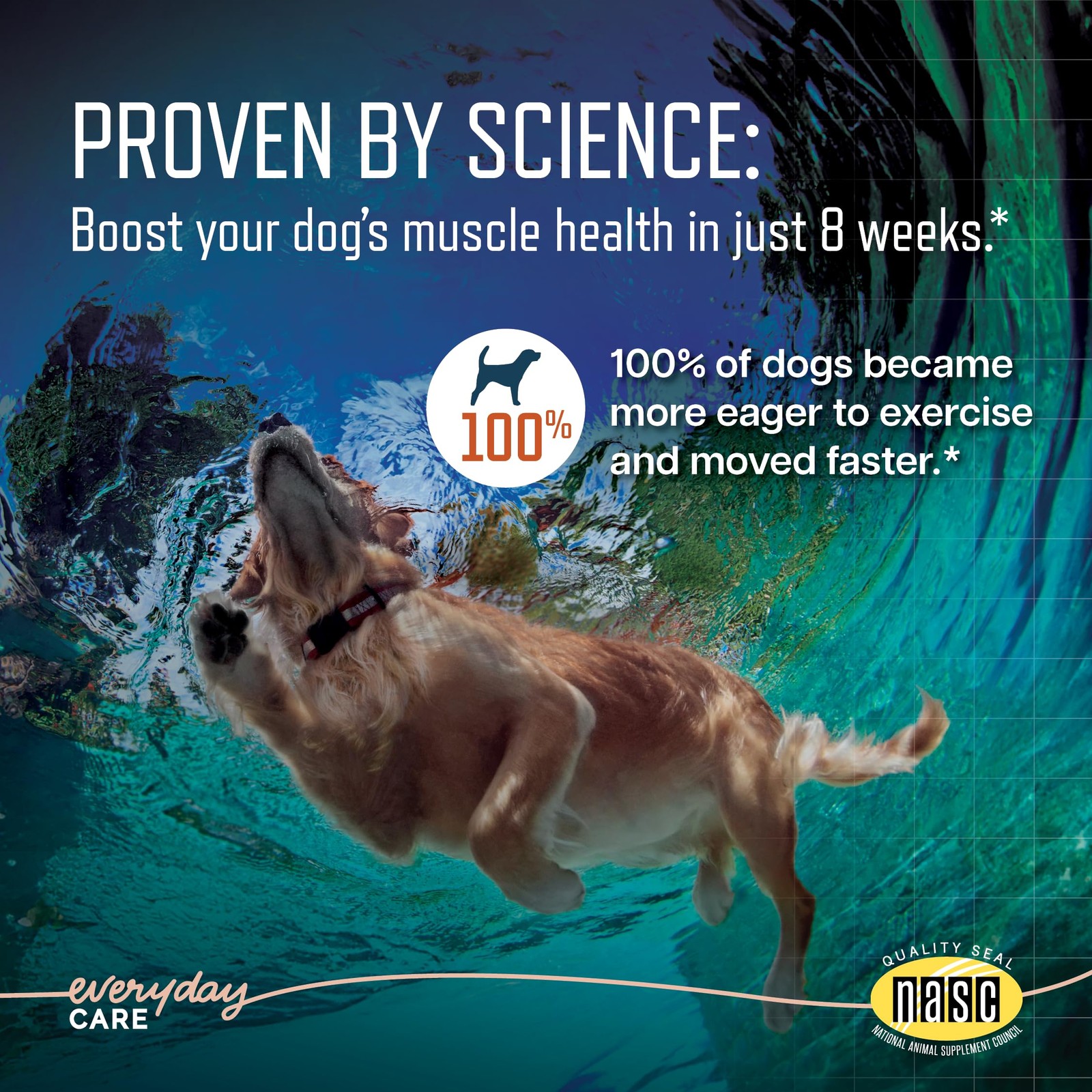 URSOLYX Soft Chews for Dogs | Muscle Health Support for Senior, Active or Recove