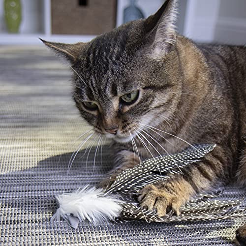 Petlinks HappyNip Zippy Zebra Feather Cat Toy, Contains Silvervine & Catnip –