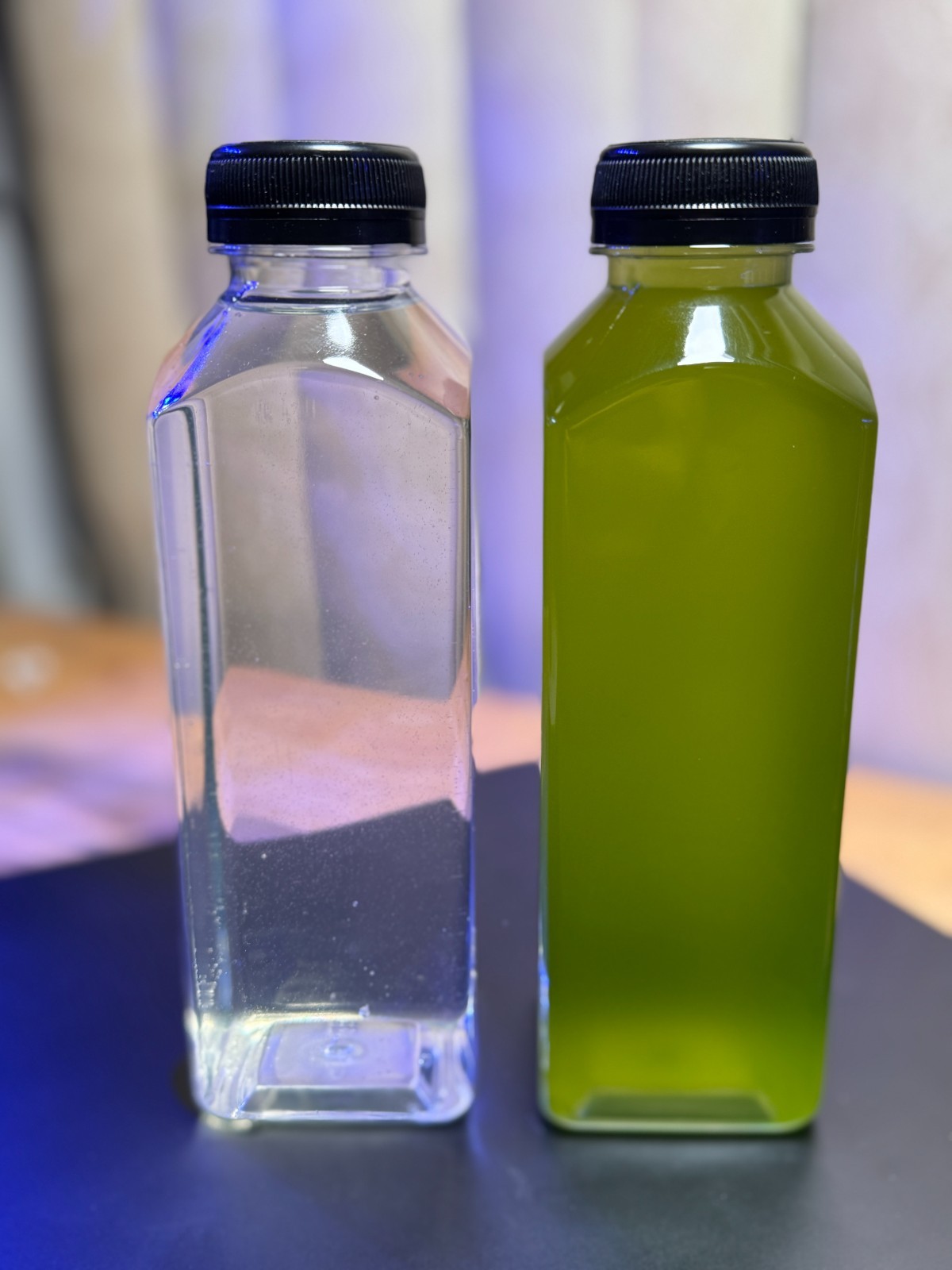 LIVE Copepods 16 oz & LIVE Phytoplankton culture 16 oz