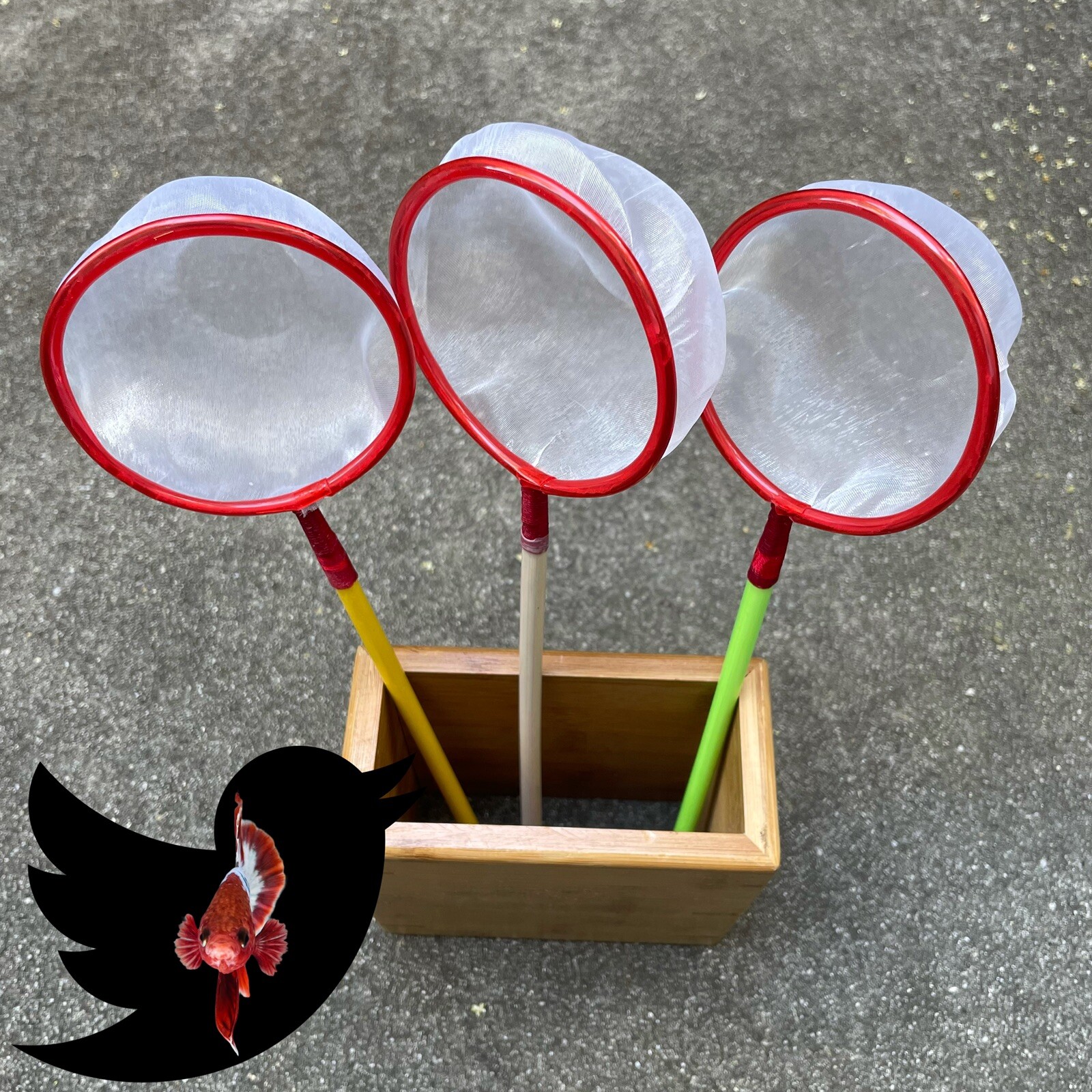 10 PCS Aquarium Fish Tank Net Perfect For Small Fish Betta Fish BBS Daphnia Worm