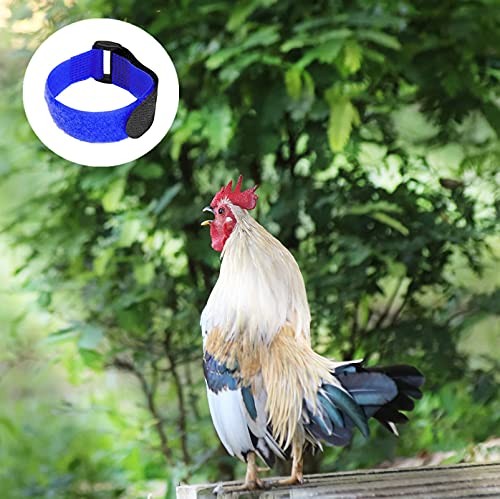 Paquete De 8 Collares Para Gallos Sin Cuervos, Collares Para Pollos Con Anti…