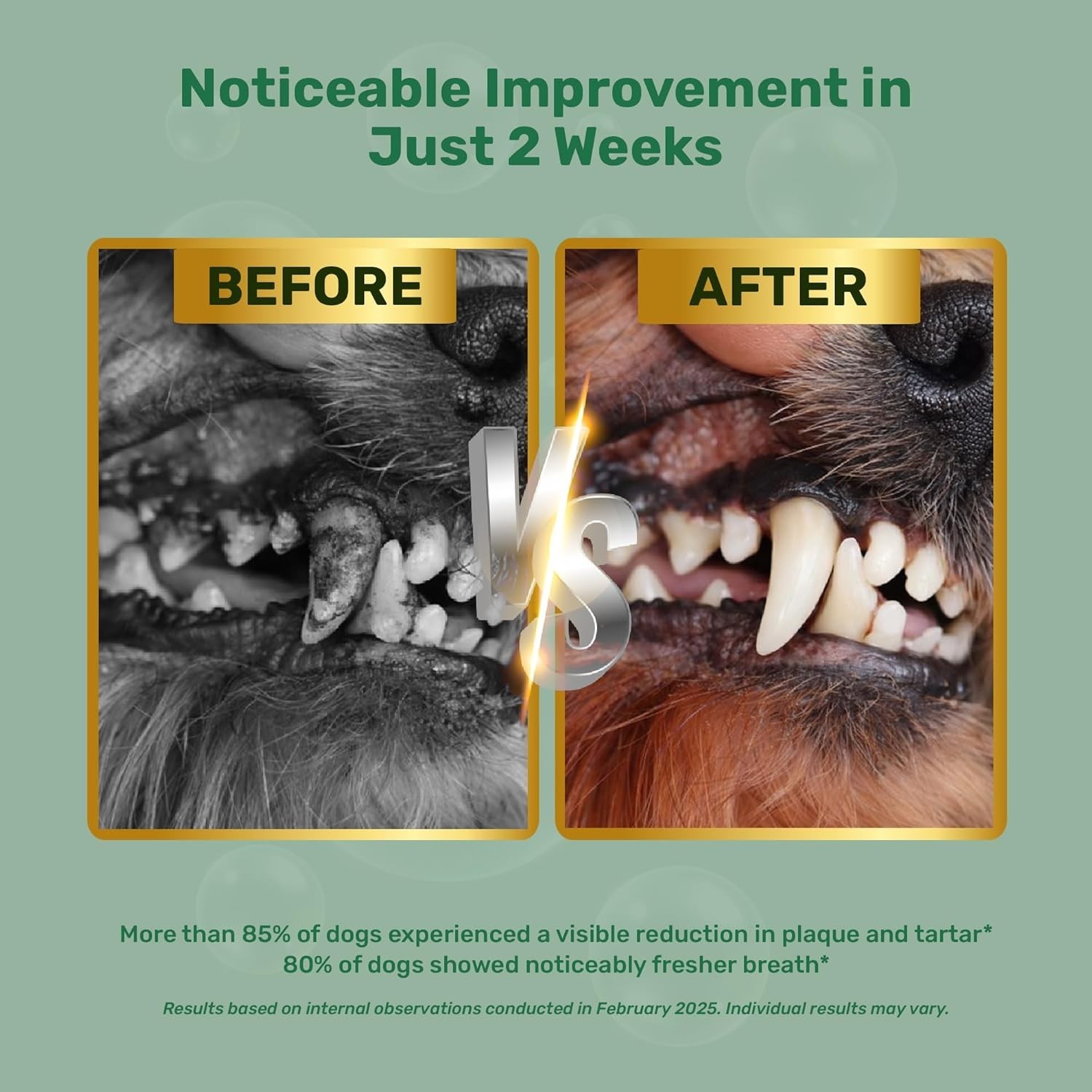 Dog Dental Powder – Plaque Off Powder – Dog Teeth Natural Cleaning Powder