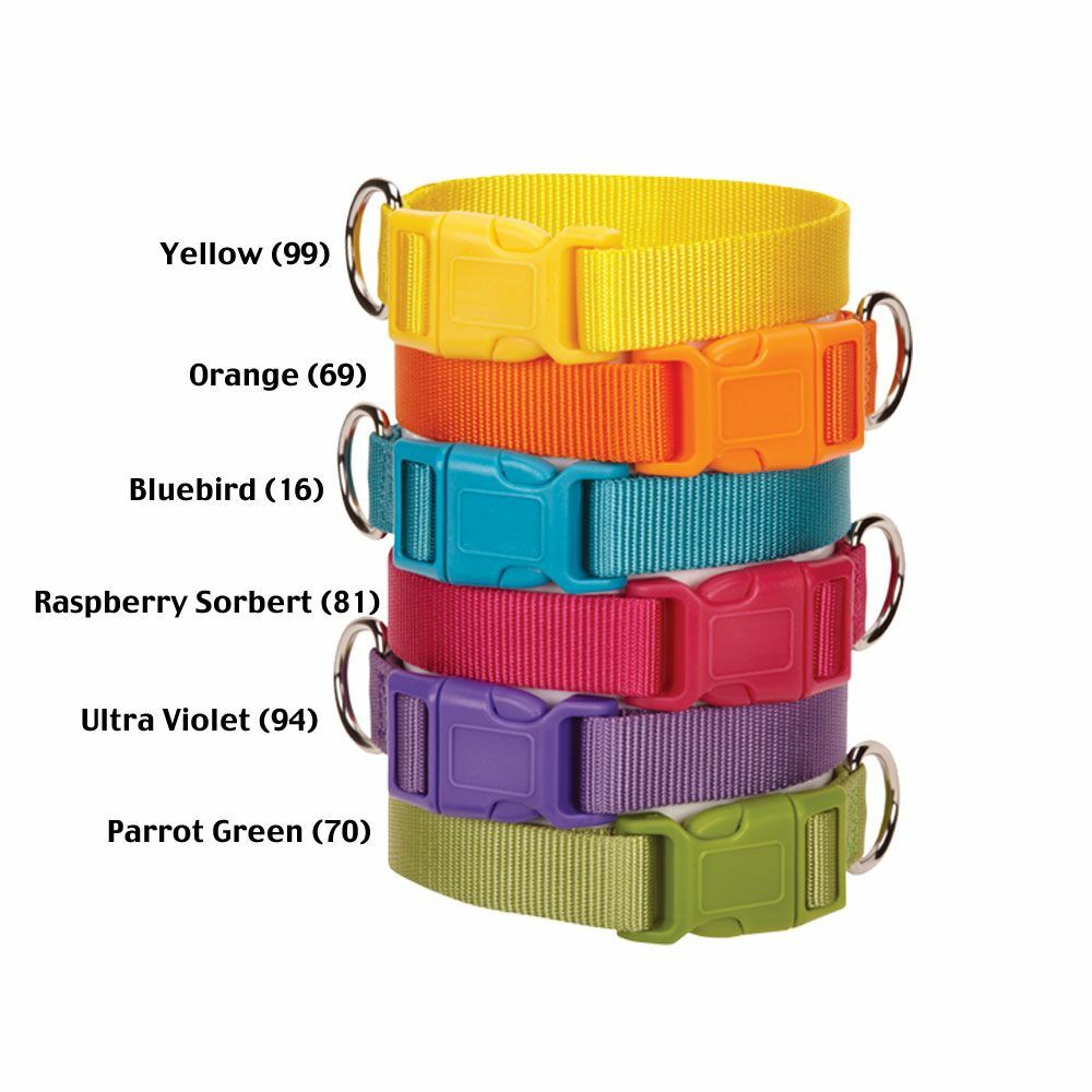 Casual Canine Nylon Dog Collar w Quick Release Buckle XS S M L 11 Colors