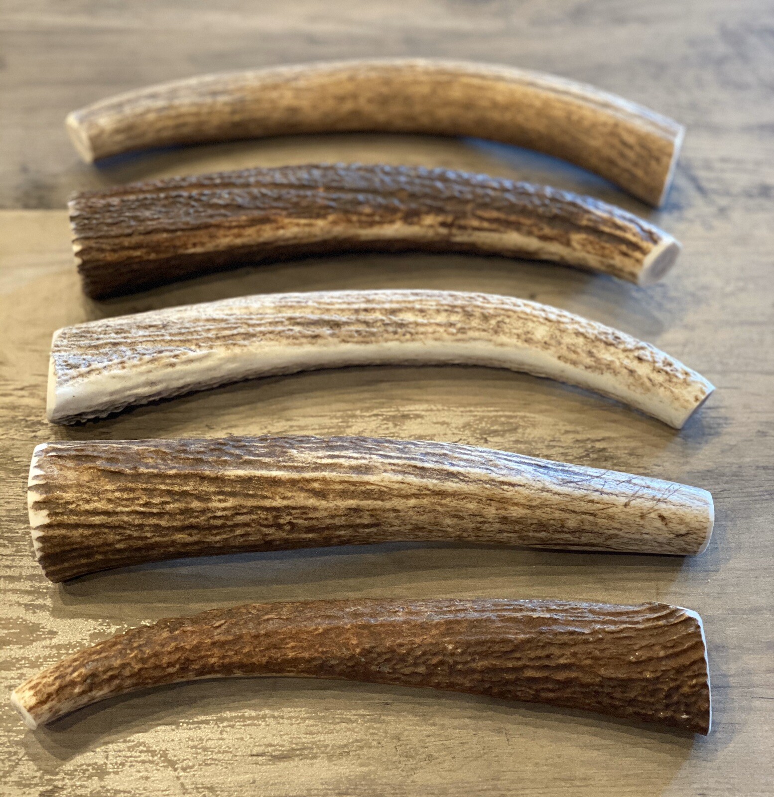 (3 PACK) X-LARGE Elk/Deer Antler Premium Dog Chews **OREGON ANTLER WORKS**