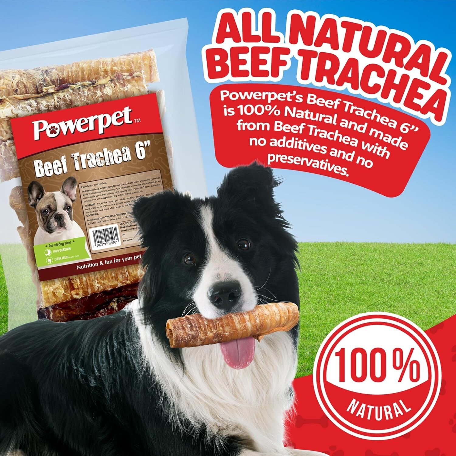 Beef Trachea 6in-Natural Dog Chew-100% Natural & Highly Digestible BRC CERTIFIED