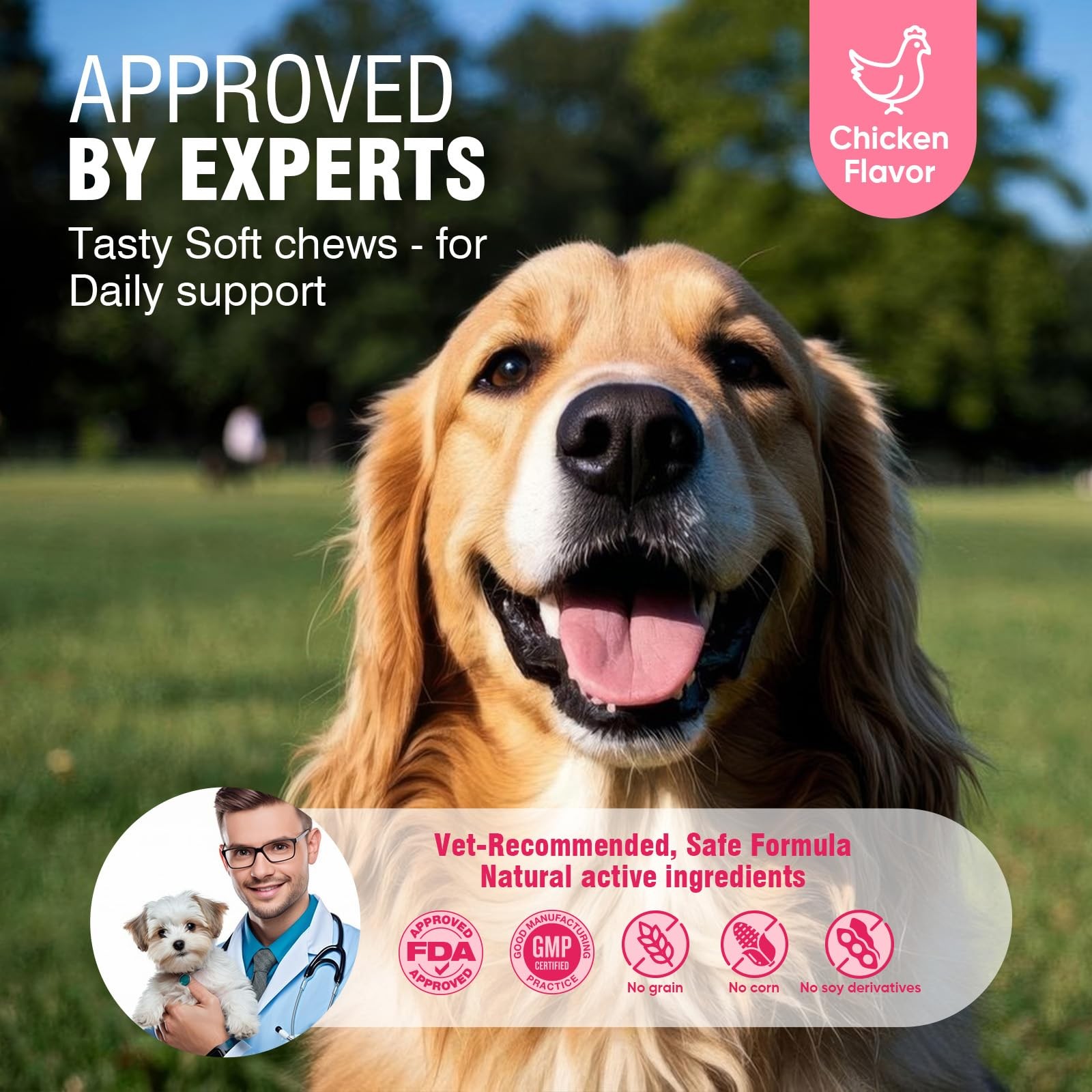 Ttlxrl Dog Allergy Chews For Itchy Support 200 Soft Chews