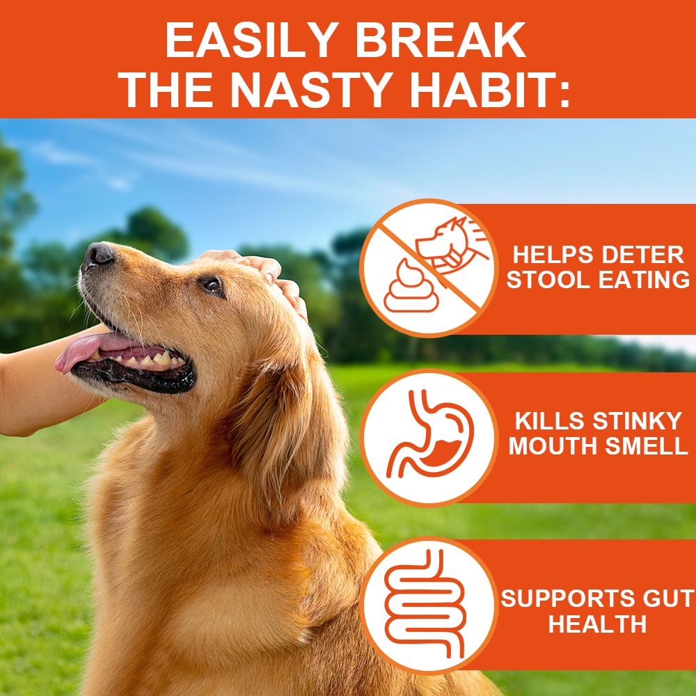 No Poo Chews for Dogs – Coprophagia & Stool Eating Deterrent – Poultry Flavor