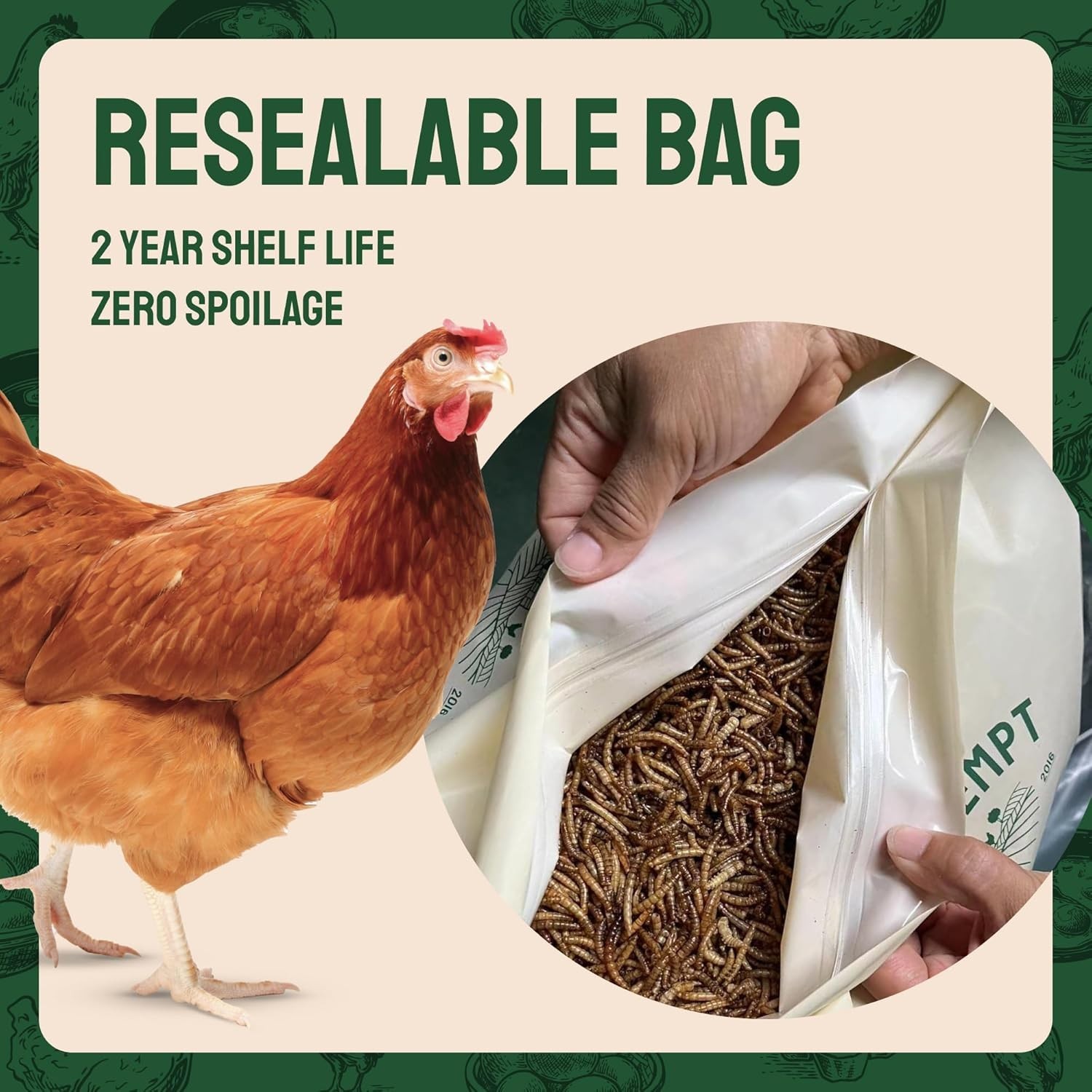 High-Quality Dried Mealworms for Chickens & Wild Birds – 10 Lb Organic & Non-GMO