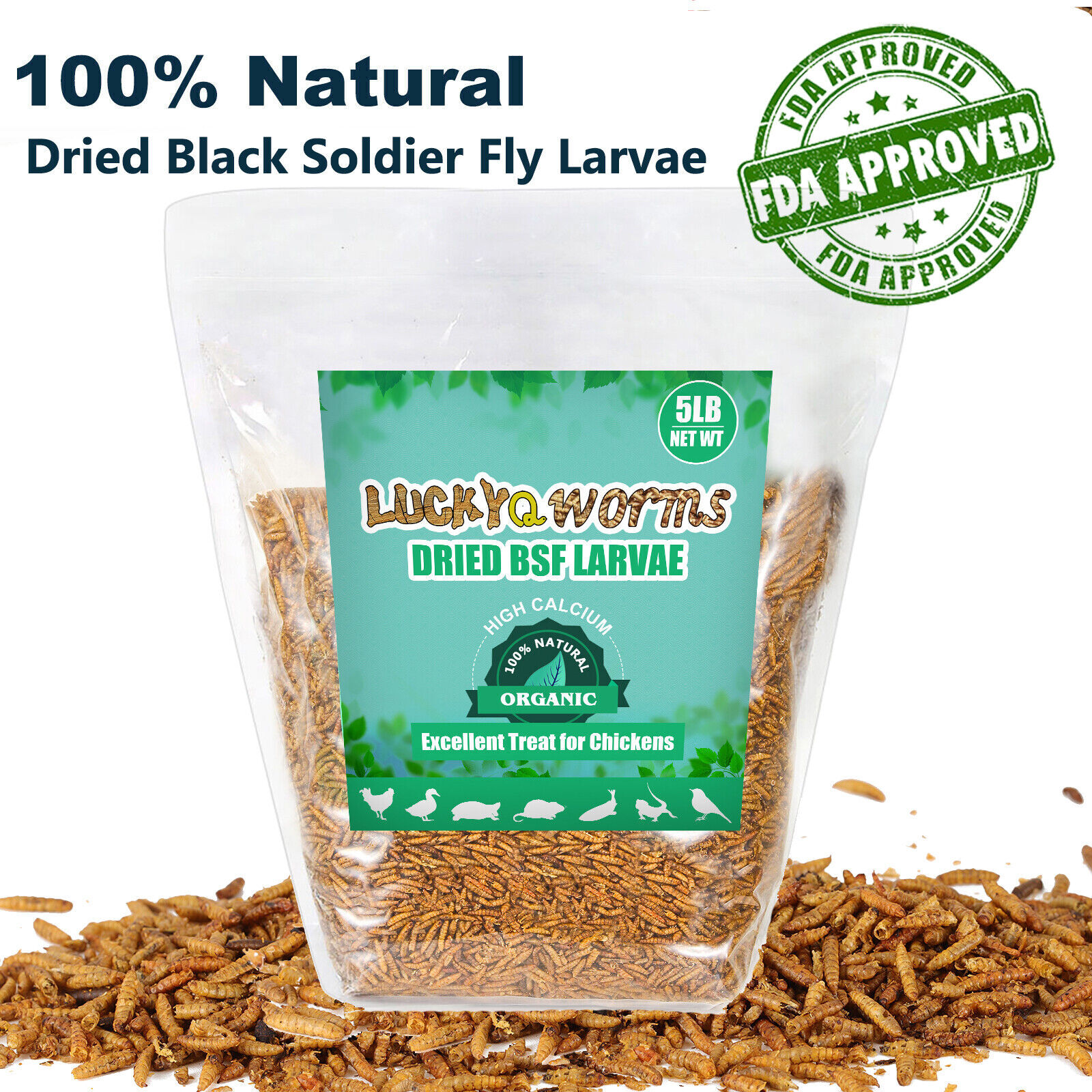 Bulk Dried BSF Mealworms for Wild Birds Food Chickens Hen Fish Treats Food Lot