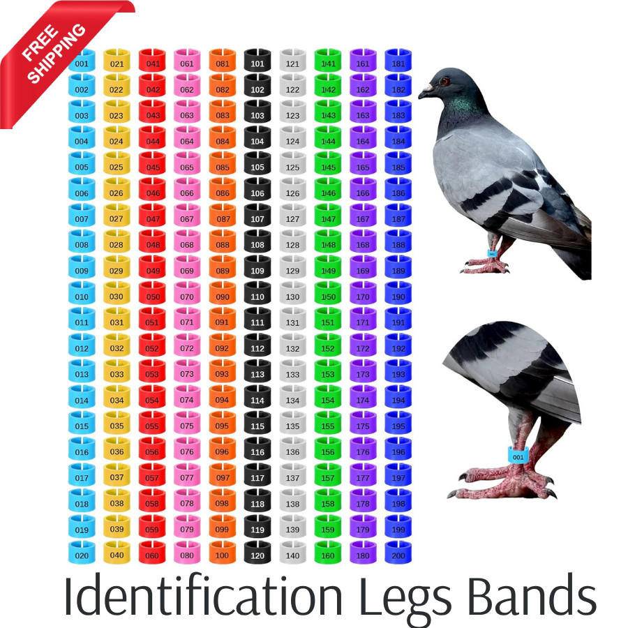 200 Pcs 8mm Chick Leg Bands, Colorful Numbered Bird Quail Leg Rings Identific…