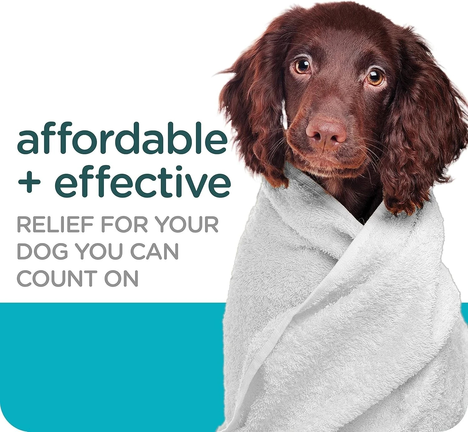 Sergeant’s Guardian Flea & Tick Dog Shampoo, Clean Cotton Scent, 18 oz.