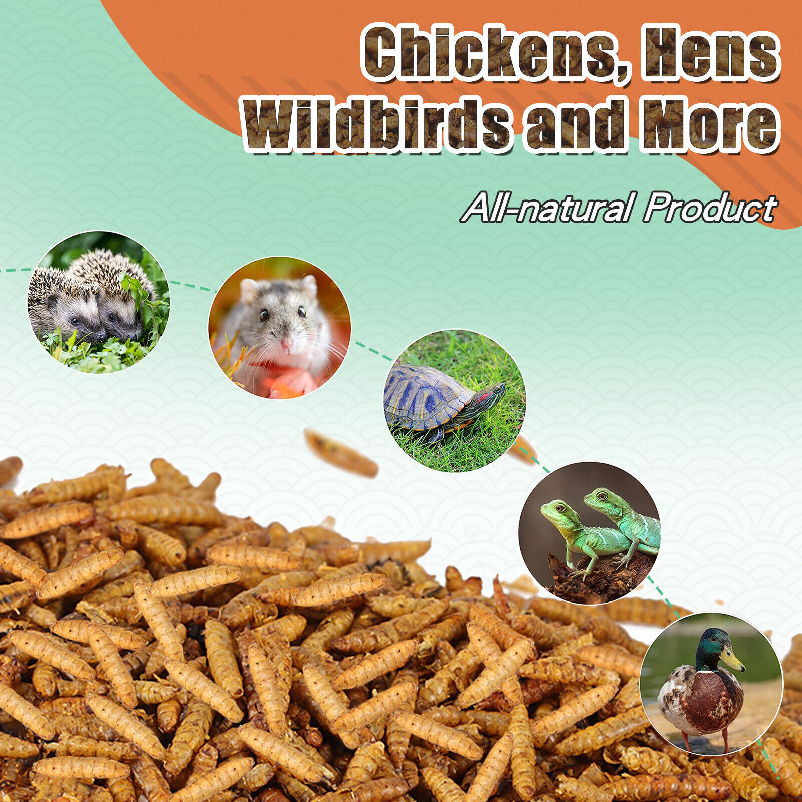 22 LBS Dried Black Soldier Fly Larva High Calcium Treats for Chickens Birds Duck