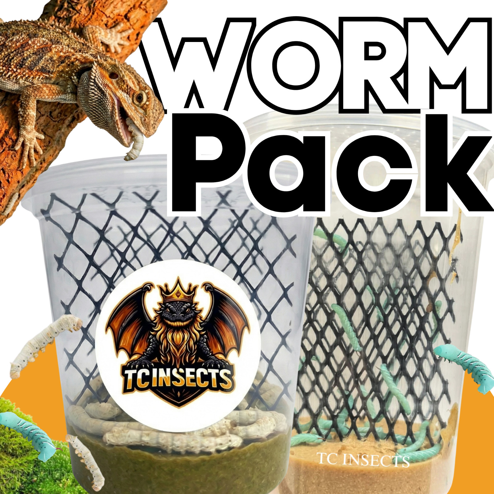 TC INSECTS 25 Silkworms and 25 Hornworms | Live Feeder Worm Pack with Food