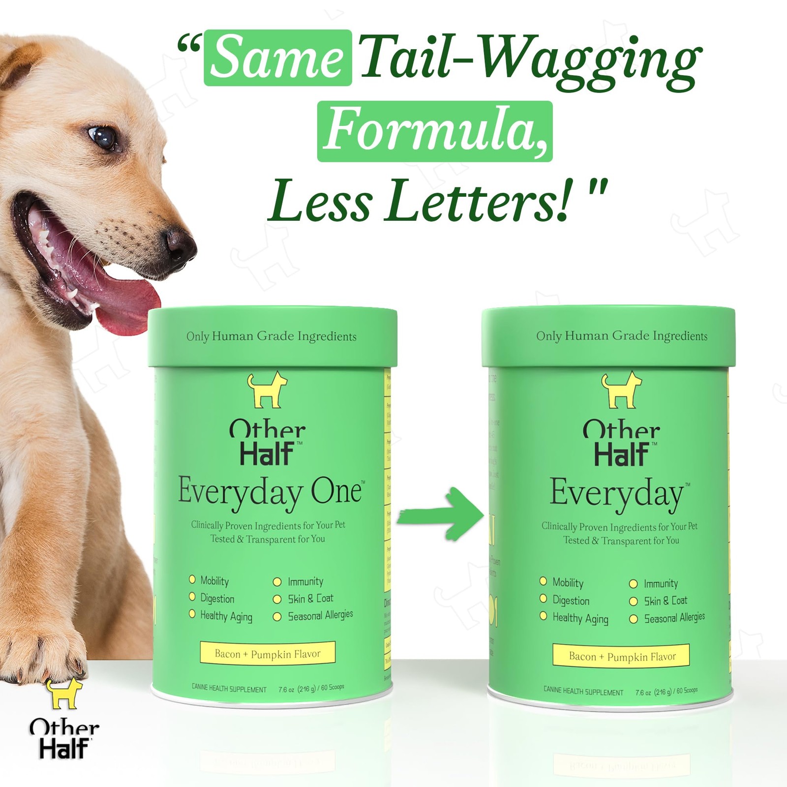 Other Half Everyday – Dog Multivitamin Supplement – Daily Joint, Gut, Allergy…