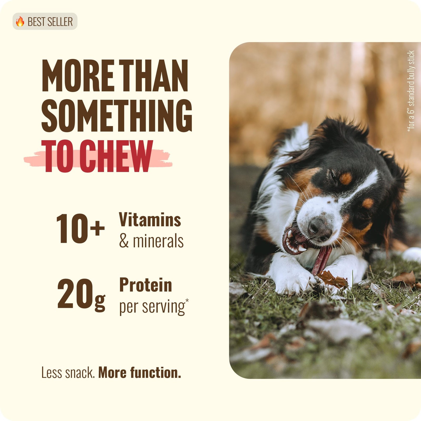 Odor Free Bully Sticks 2-3″ for Dogs – 100% Beef, Non-GMO, Grain-Free Chews