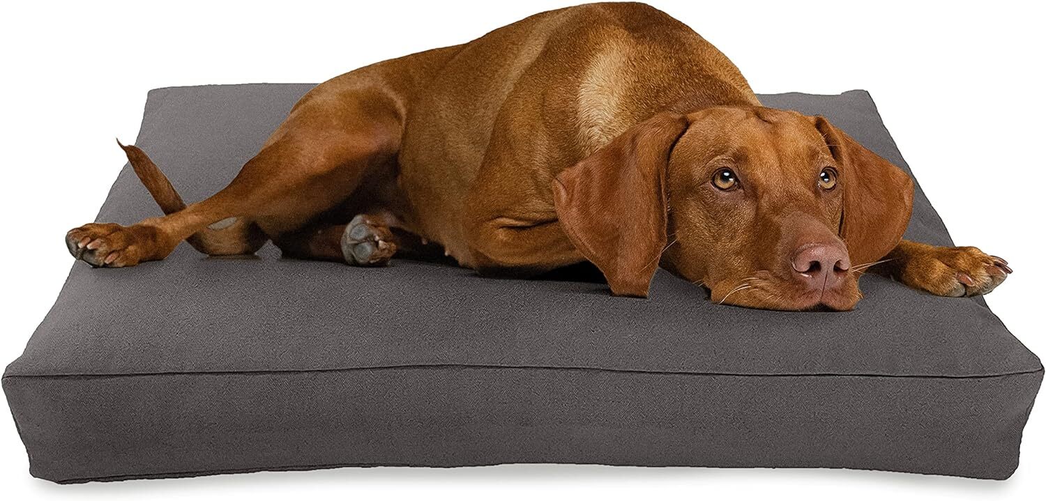 Organic Hemp Fabric Dog Bed, ECO Foam Cushion for Joint Health Remove Wash Cover