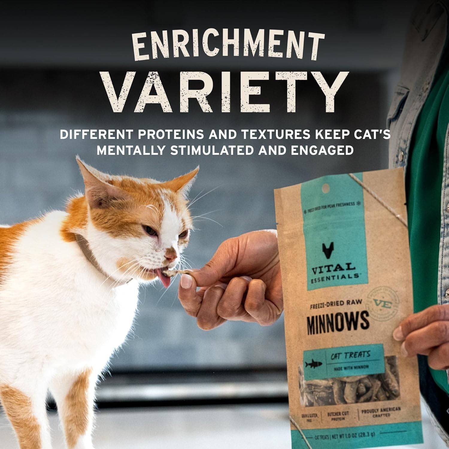 Vital Essentials Minnows Cat Treats, 0.5 oz | Freeze-Dried Raw | Single
