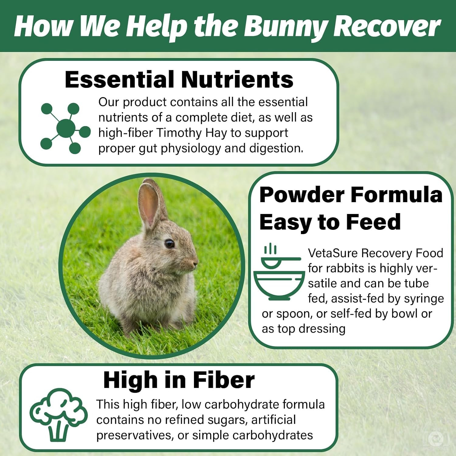 Emergency Recovery Food for Bunny and Small Herbivores, High-Fiber Timothy Hay B