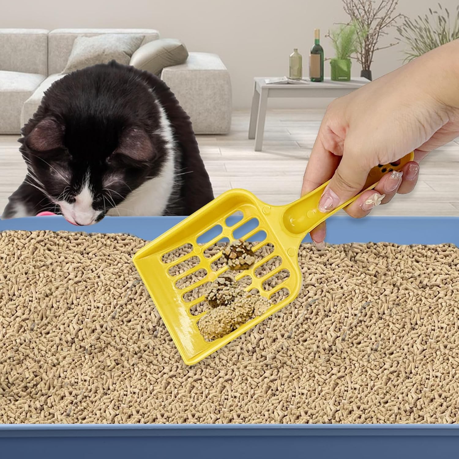 5 Pcs Medium Open Cat Litter Box,15 x 10.4 x 1.6 Inch Plastic Kitten Litter Pan