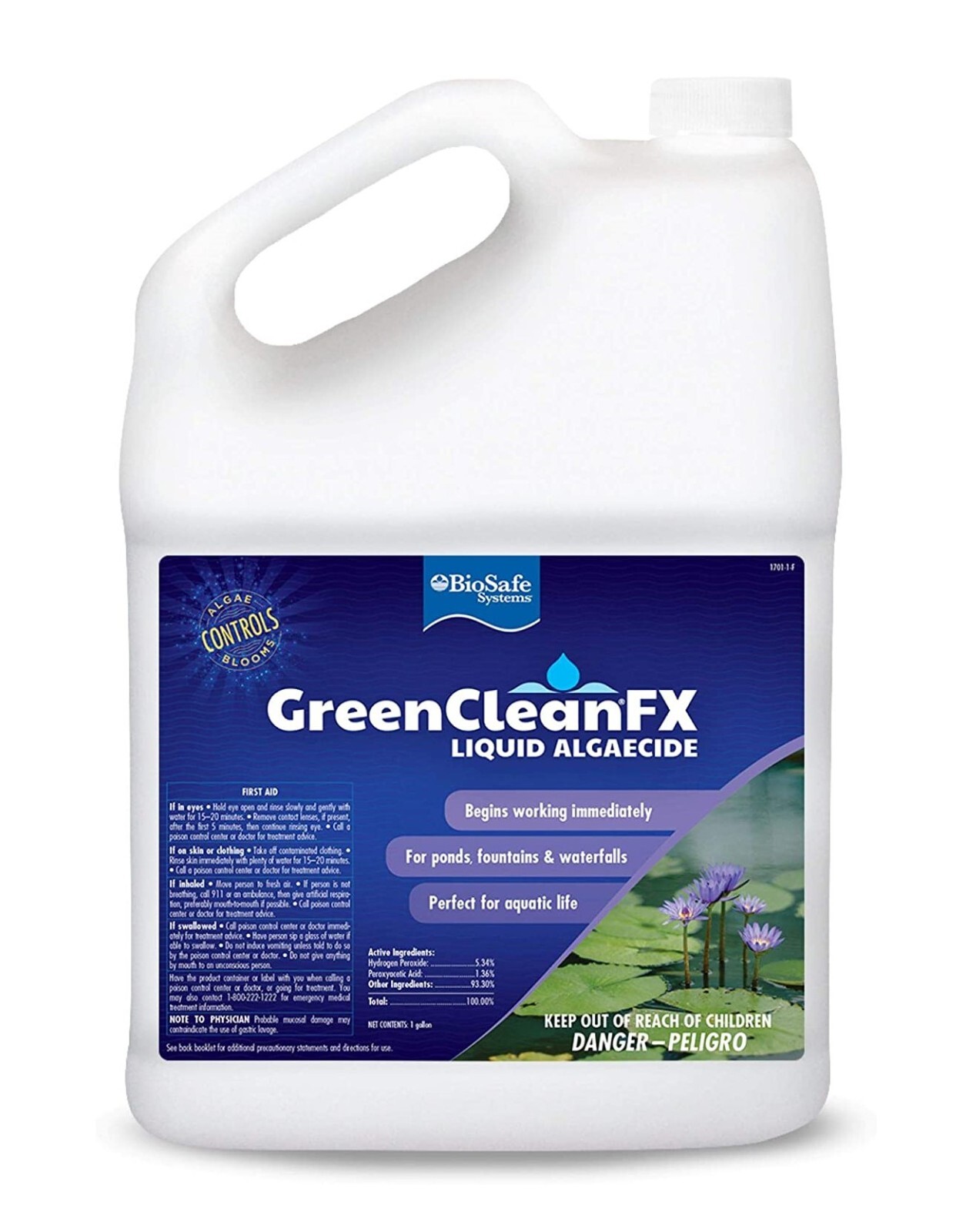 GreenClean FX Liquid Algaecide Controls Algae 128 fl oz Bottle by BioSafe