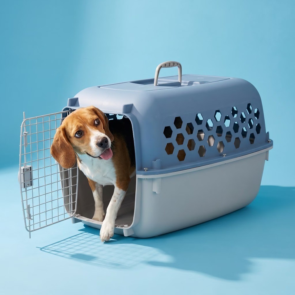 Small 2 Door Blue Dog Crate for Pets up to 25 lbs