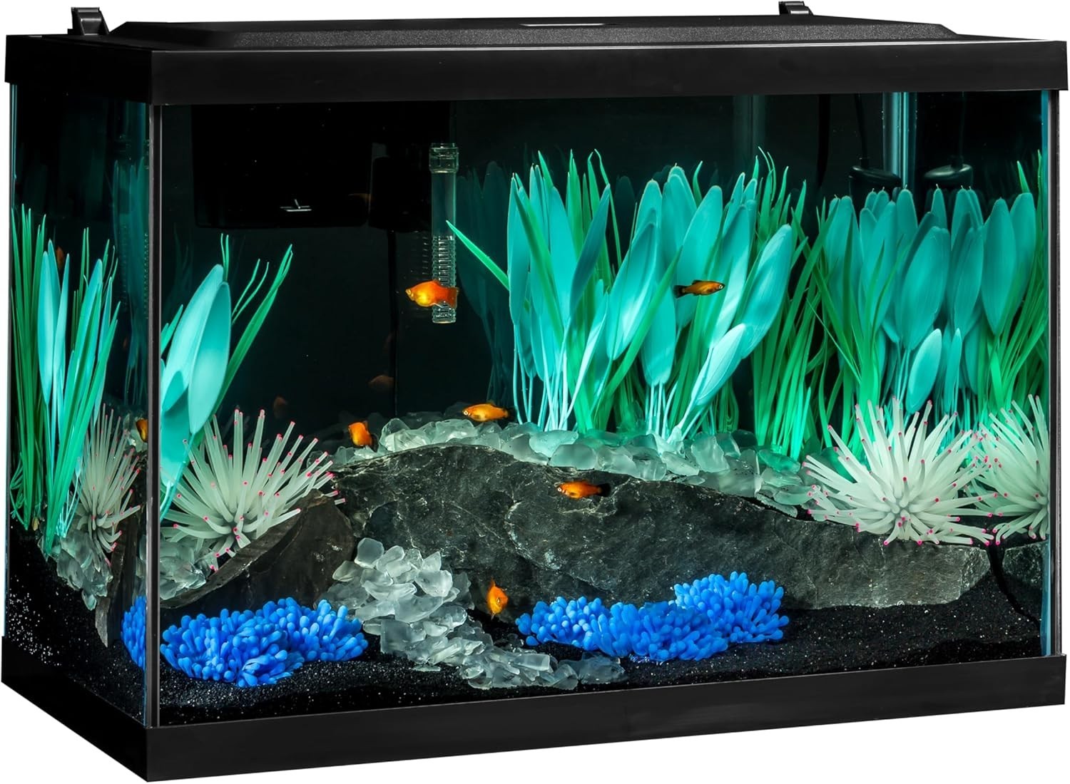 Colorfusion Aquarium 20 Gallon Fish Tank Kit Includes LED Lighting and Decor