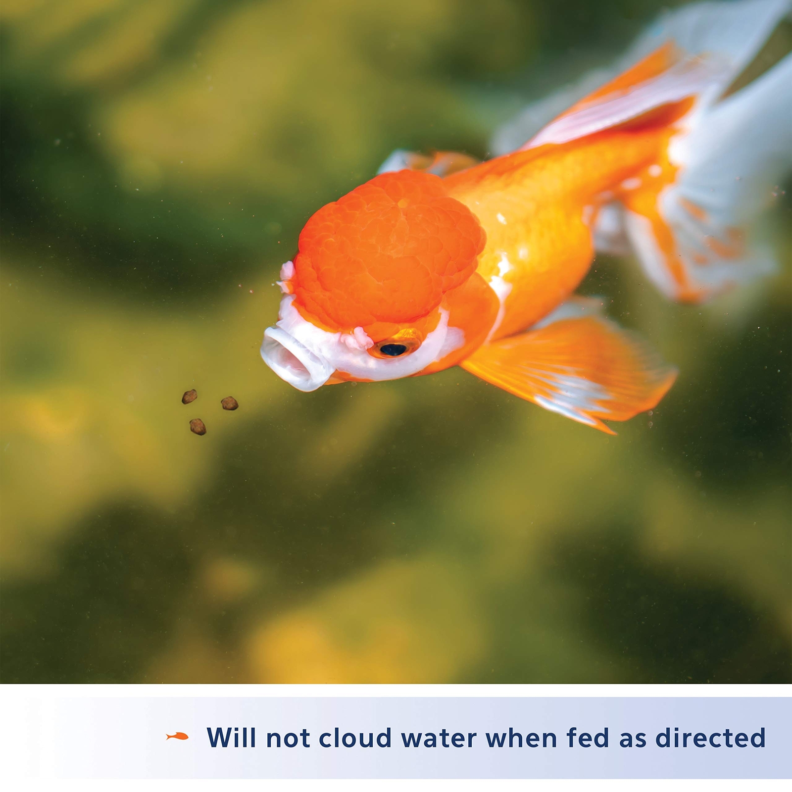 Aqueon Goldfish Fish Food Slow Sinking Granules 5.8 Ounce