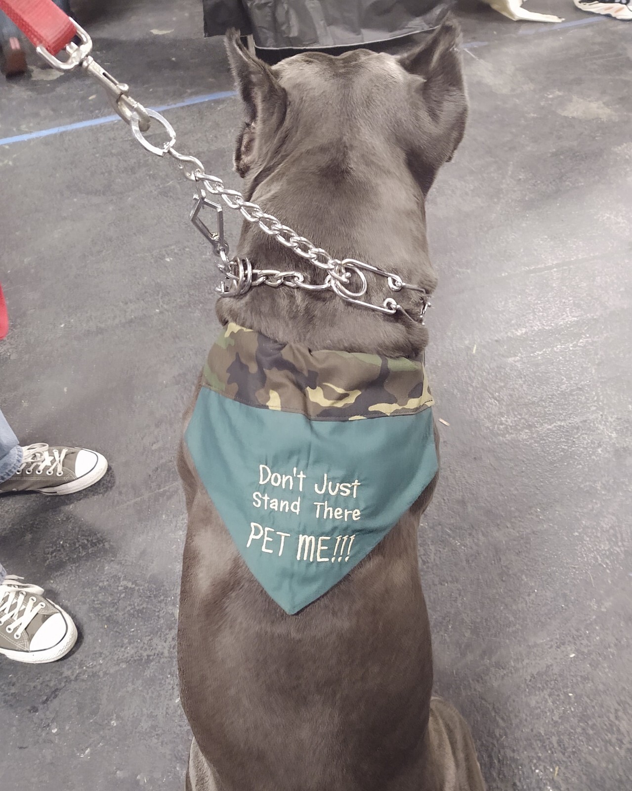 PERSONALIZED reversible embroidered over the collar DOG BANDANA – Design Ur Own!