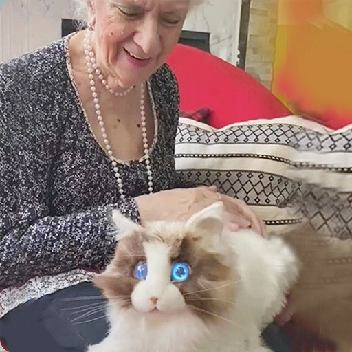 Metacat New version