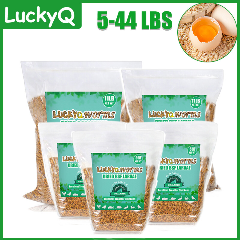 5-44 LBS Dried Black Soldier Fly Larvae for Chickens Birds Reptiles Food Treats