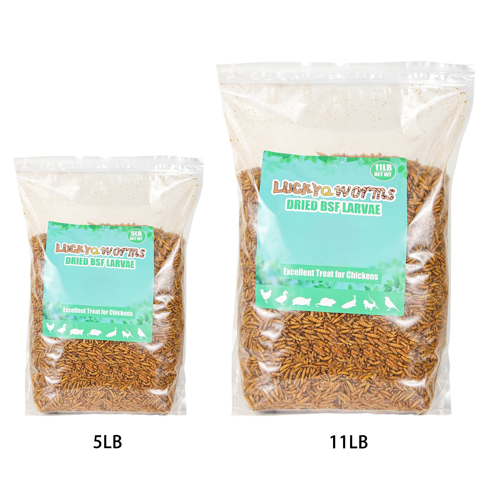 Bulk Dried BSF Mealworms for Wild Birds Food Chickens Hen Fish Treats Food Lot