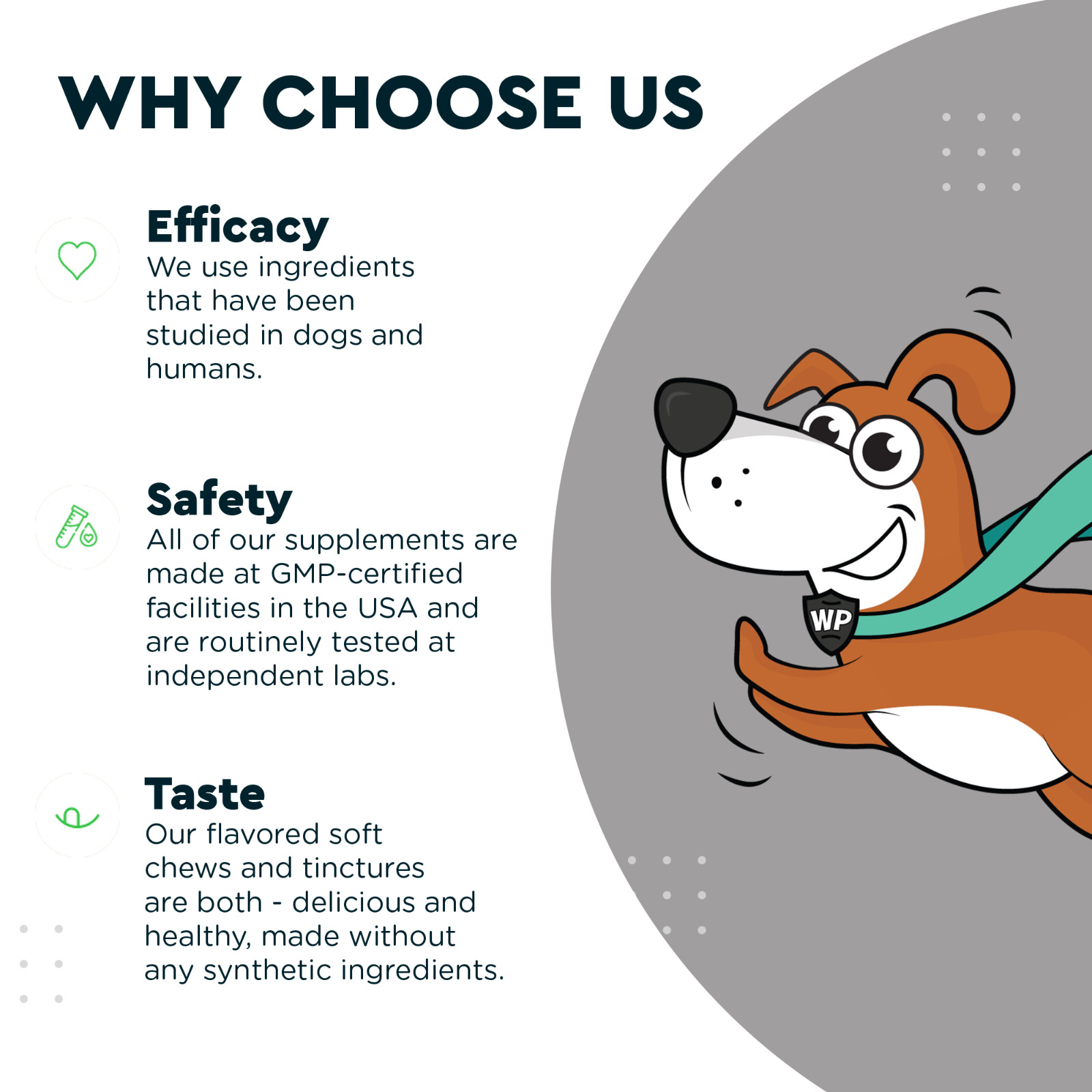 Premium Liquid Glucosamine for Dogs – All Ages (16 oz)