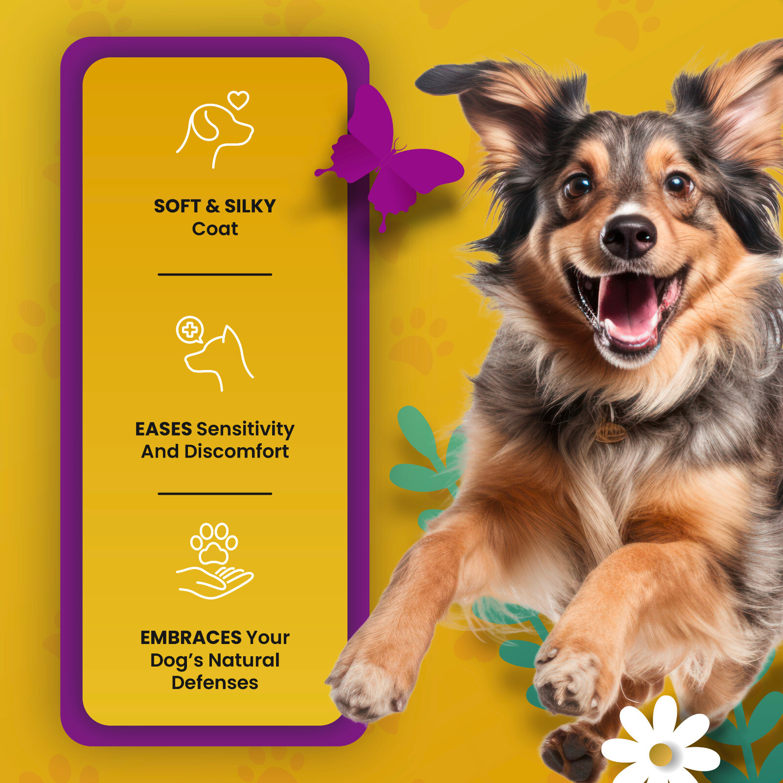 Omega 3 Fish Oil for Dogs, Dogs Liquid Skin and Coat Supplement for Heart