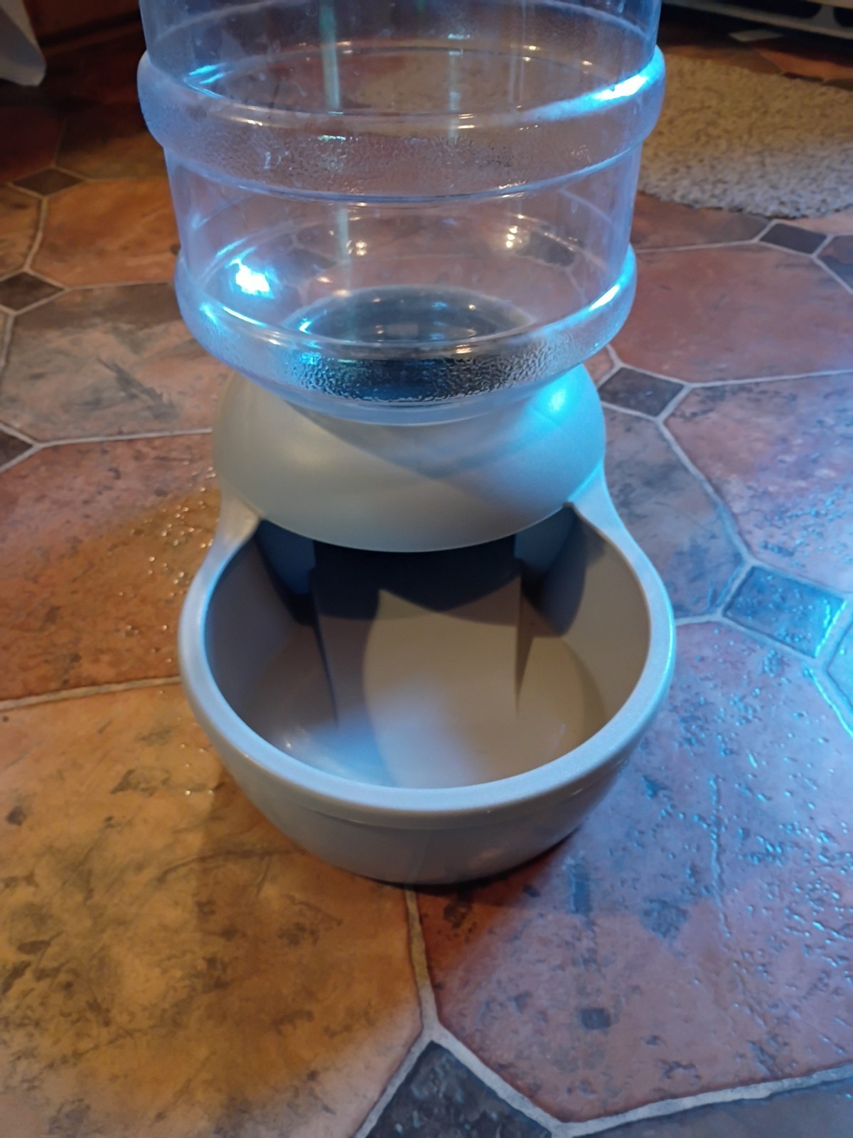 Replendish Pet Water Bowl Silver Gray USED
