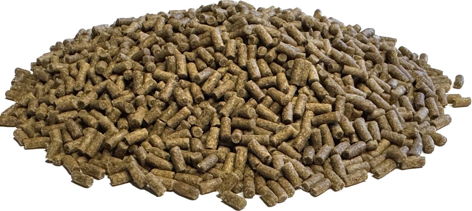 1LB Sinking Pellets for Freshwater Bottom Feeders, Shrimp & Snails 2.4mm